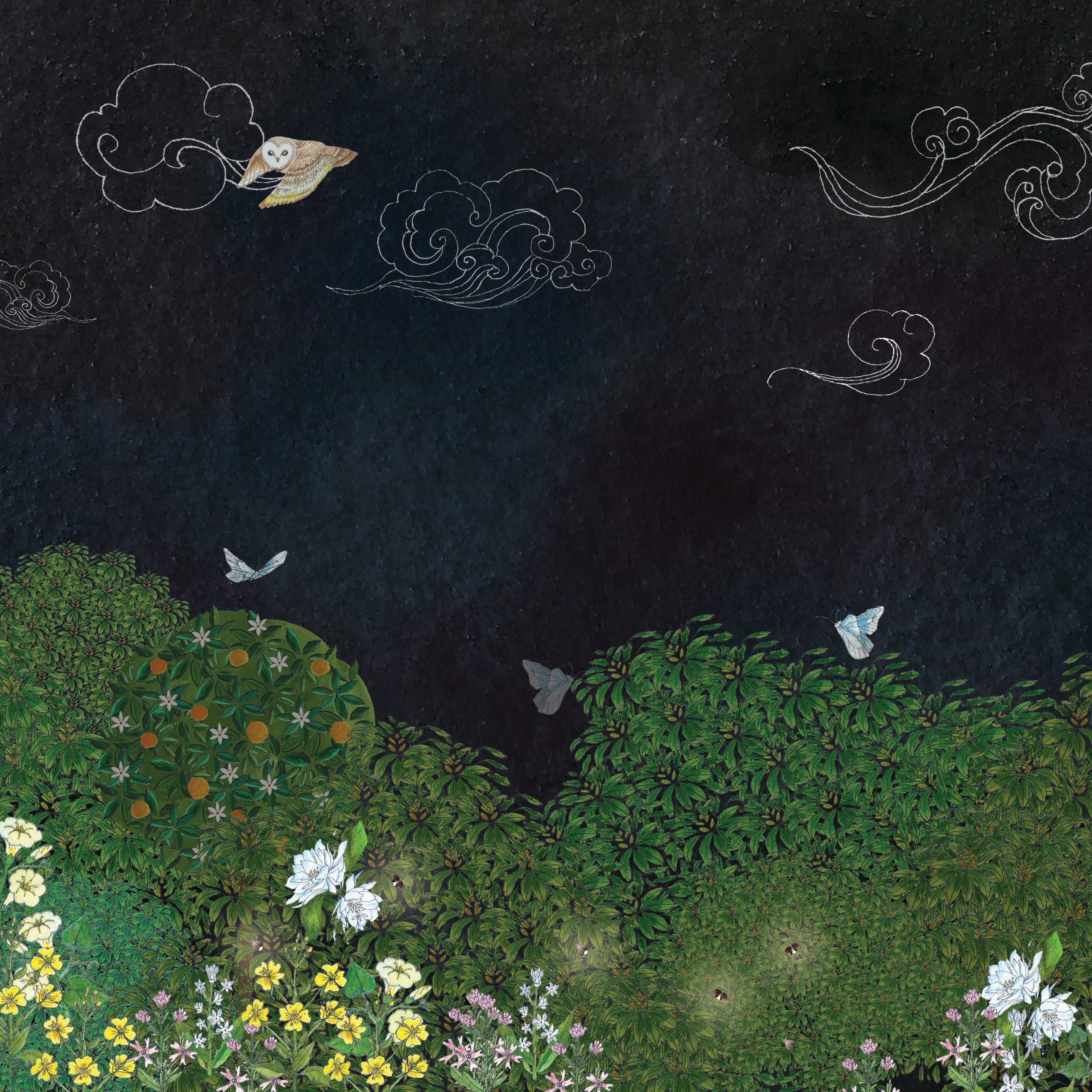Midnight Bloom