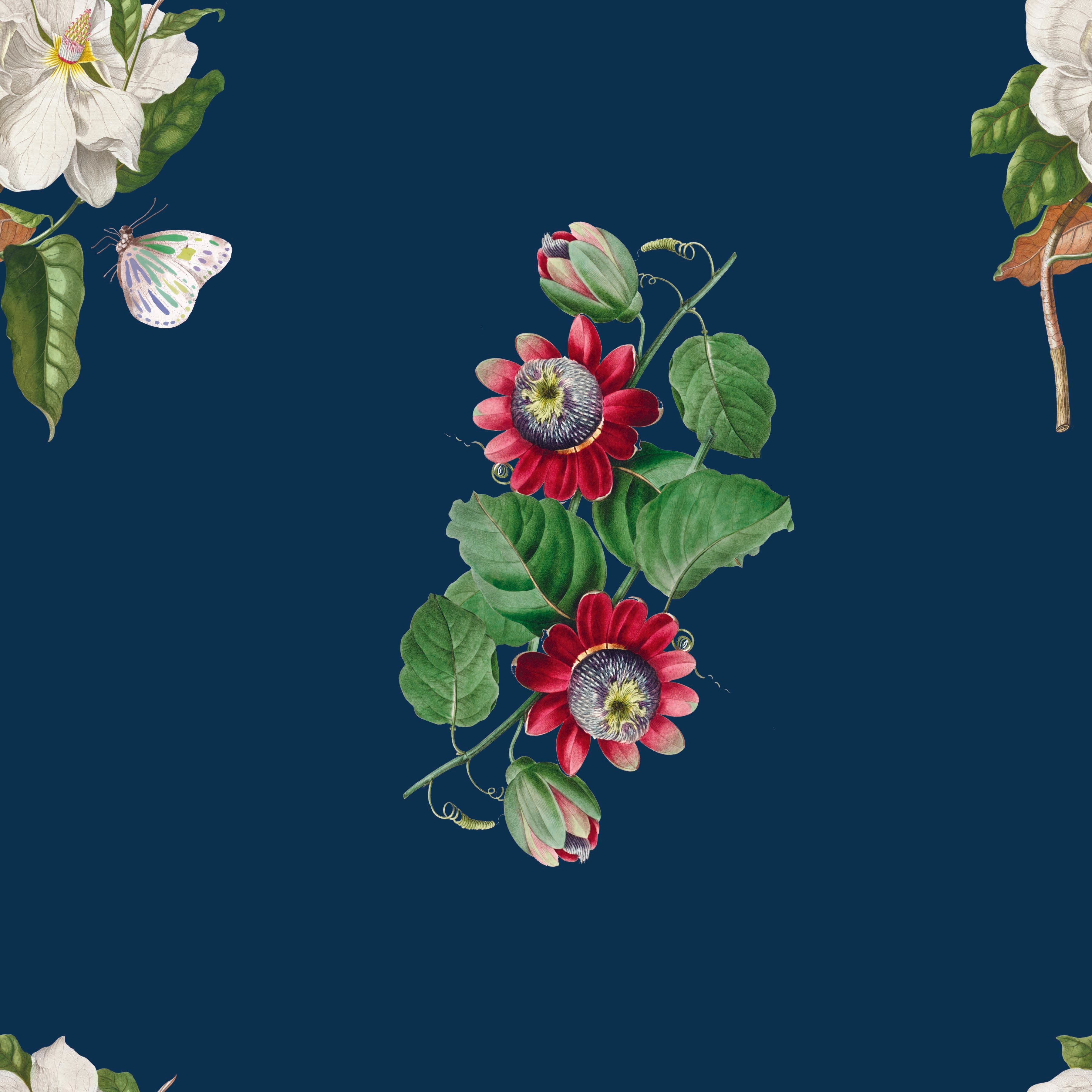 Solstice Garden